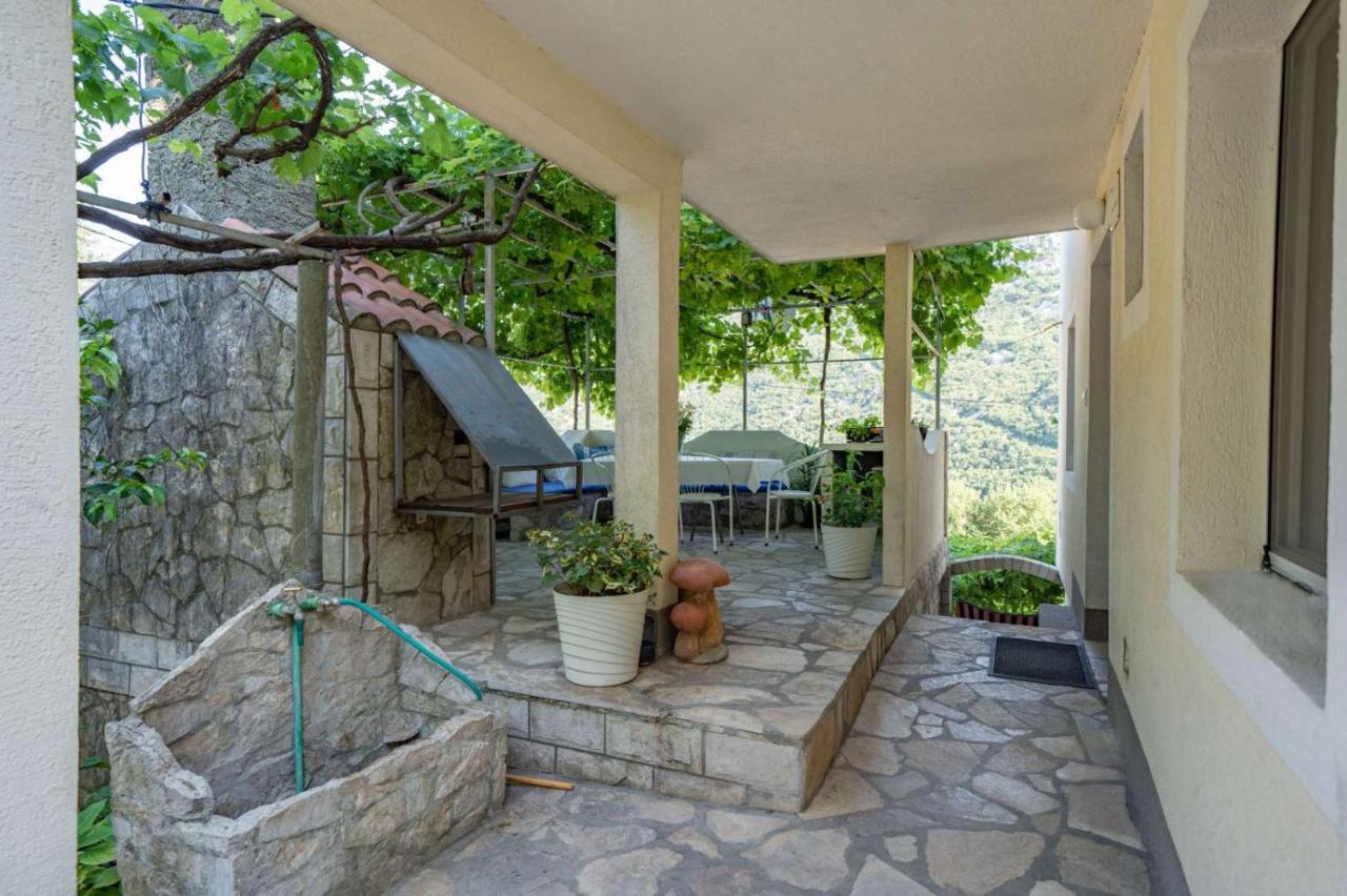 Apartments Zeko Donji Morinj Εξωτερικό φωτογραφία