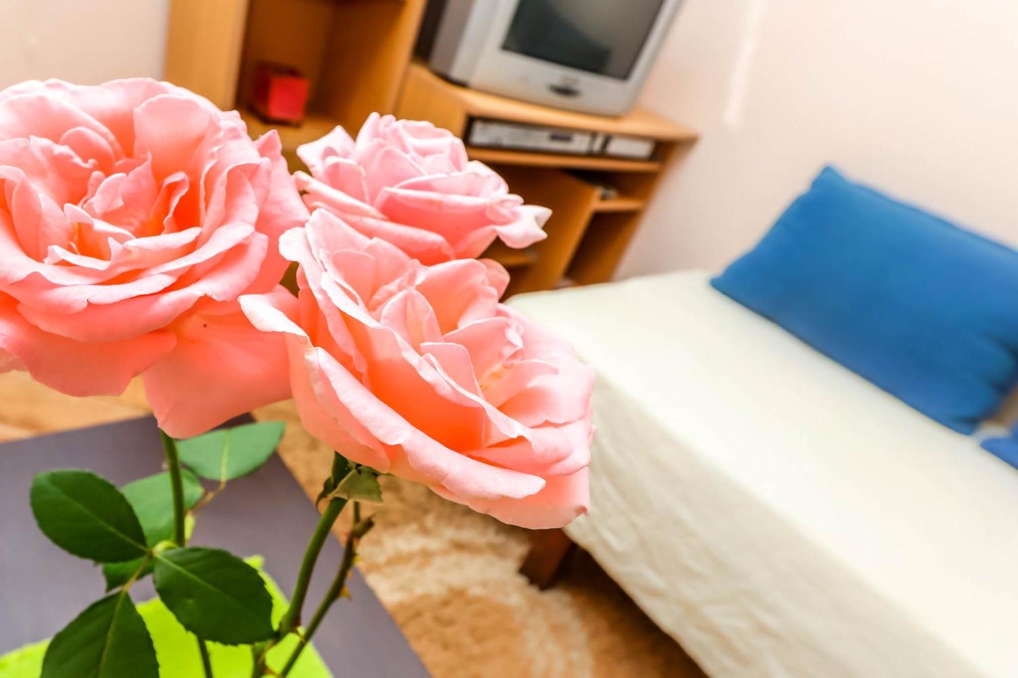Apartments Zeko Donji Morinj Εξωτερικό φωτογραφία