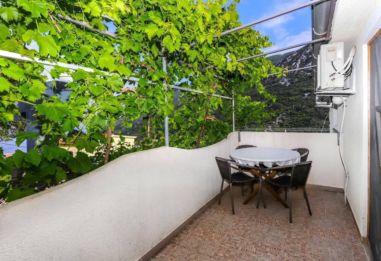Apartments Zeko Donji Morinj Εξωτερικό φωτογραφία